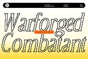 CS Allegory Pixel, a Serif Font by Craft Supply Co. (Thumbnail 2 of 8)