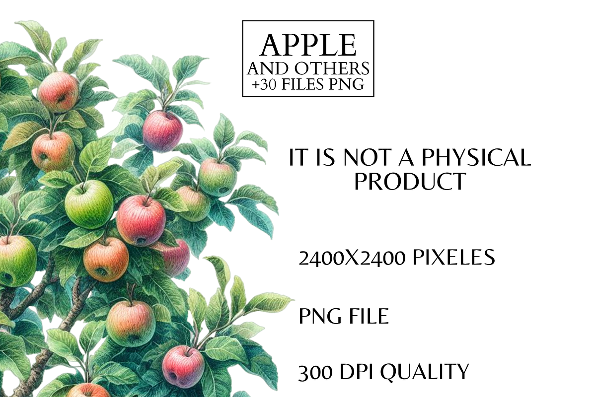 Apple Clipart Set Watercolor PNG, a Food Illustration by VM PARTYS  BY TAIRUMA (Photo 5 of 7)