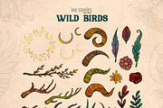 Wild Birds, an Animal Illustration by Ink Stories (Thumbnail 6 of 20)