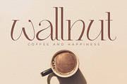 Raline - Classy Modern Serif Font, a Serif Font by Airotype (Thumbnail 8 of 10)