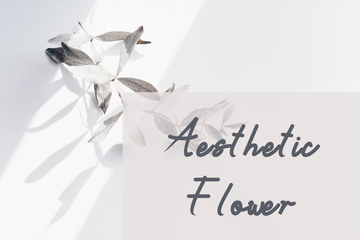 Halindra Garlli Handwritten Font., a Handwritten Font by VectorCraft (Photo 2 of 5)