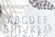FOREST SONG birds sketches, an Animal Illustration by Yuliia Lashevska (Thumbnail 12 of 15)