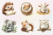 Sleeping Baby Animals, Neutral Baby, an Illustration by CreationArt (Thumbnail 2 of 9)