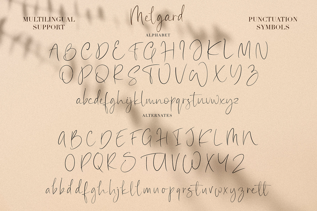 Melgard, a Script Font by Larin Type Co. (Photo 10 of 11)