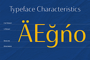 Ainslie Contrast, a Sans Serif Font by insigne (Thumbnail 5 of 5)