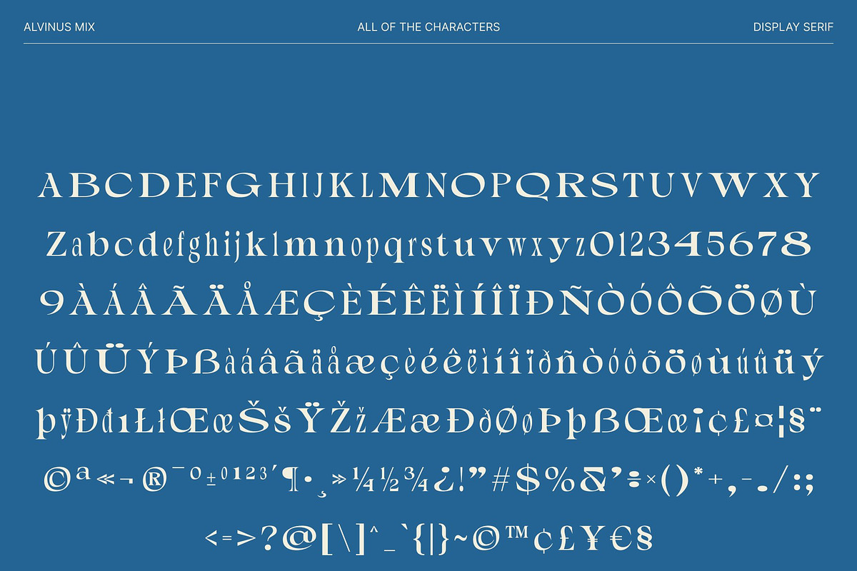 Alvinus Mix, a Serif Font by Craft Supply Co. (Photo 8 of 8)
