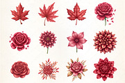 Burgundy Autumn Leaves & Flowers, an Illustration by CrexoraLab (Thumbnail 3 of 5)