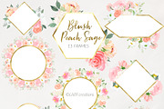 Blush Peach Sage flowers, a Texture Illustration by LABFcreations (Thumbnail 10 of 13)