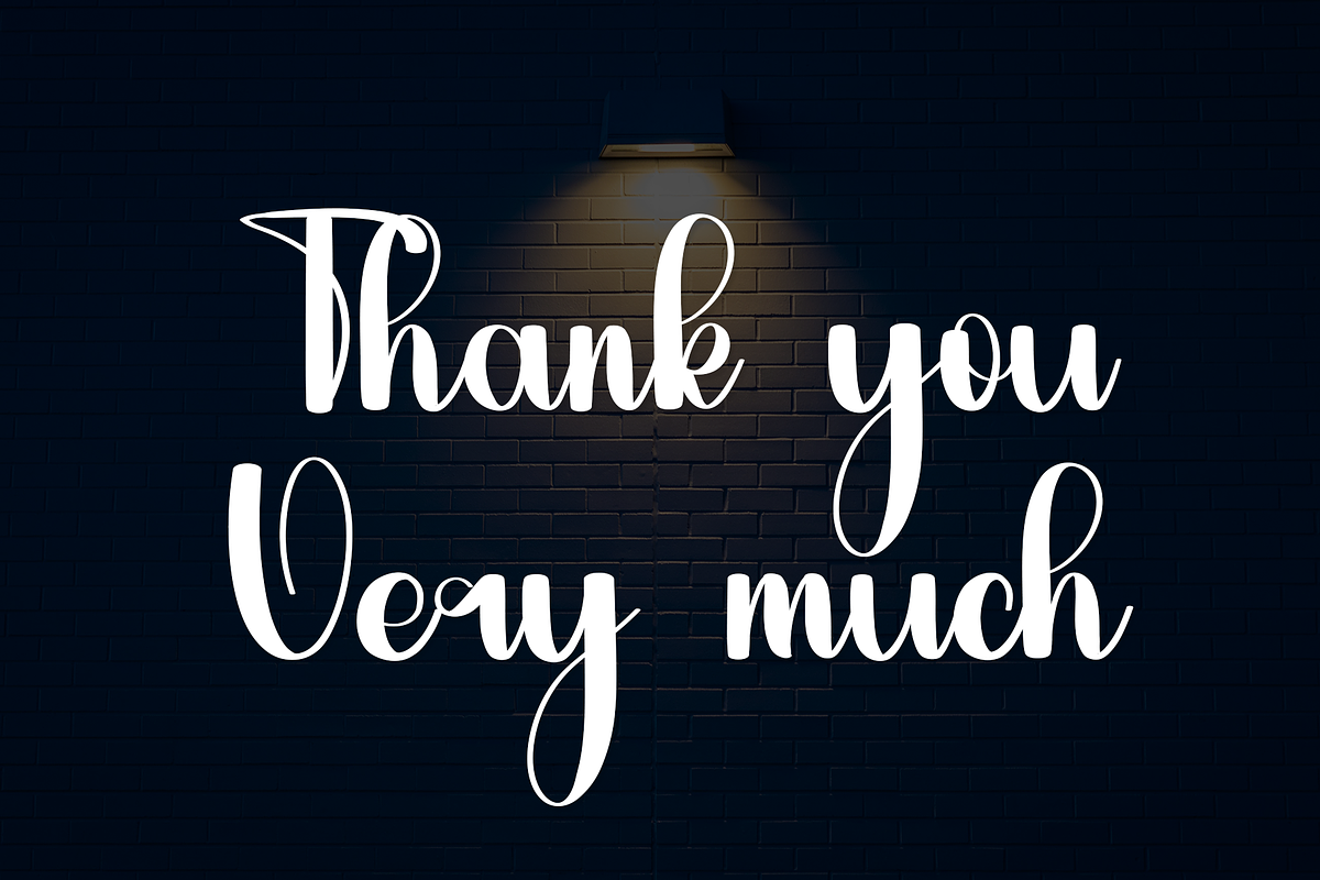Budge, a Script Font by FreshTypeINK (Photo 7 of 7)