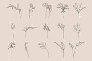 Plantes D'Intérieur, a Graphic by Kassie Bartow Art (Thumbnail 7 of 10)