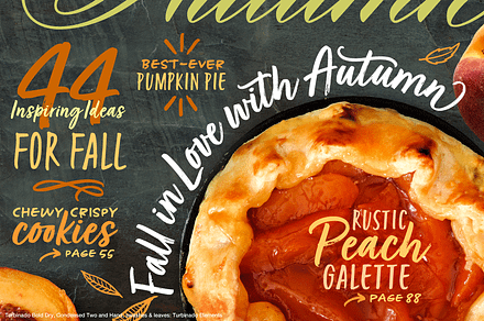 Turbinado Set, a Script Font by Aerotype