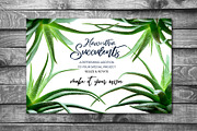 Succulents -Real Haworthia Specimens, an Object Graphic by Turning Moss (Thumbnail 6 of 9)