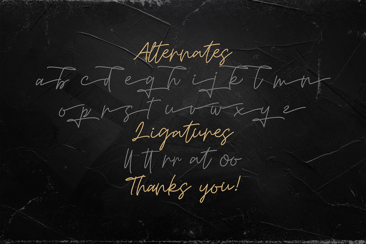 Mashiya - Monoline Script Font, a Script Font by StringLabs (Photo 9 of 9)