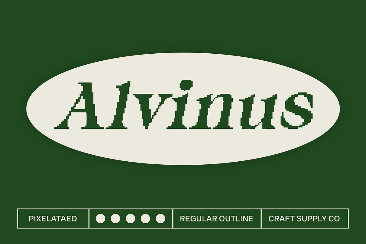 Alvinus Pixel, a Serif Font by Craft Supply Co. (Photo 1 of 8)