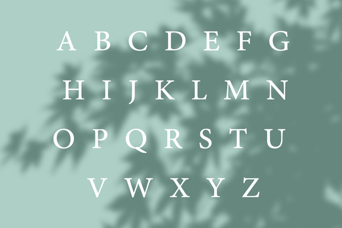 Verde Elegant Modern Font preview 2