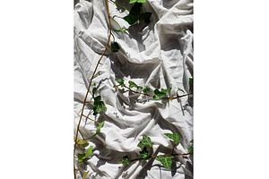 Ivy branches on crumpled white, an Arts & Entertainment Photo by IlliaBondarPhotography