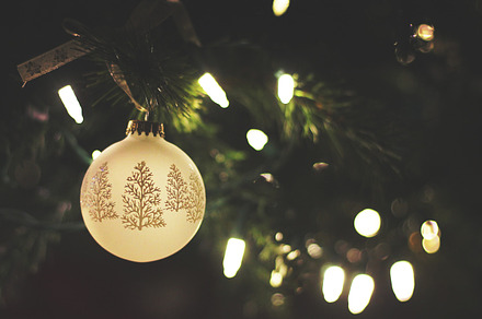 Lights featuring wedding, lights, and vintage preview 6