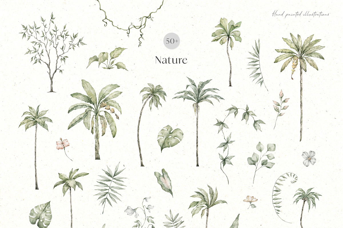 Tropical Jungle Watercolor Animals, an Animal Illustration by Kreker Kate (Photo 6 of 14)