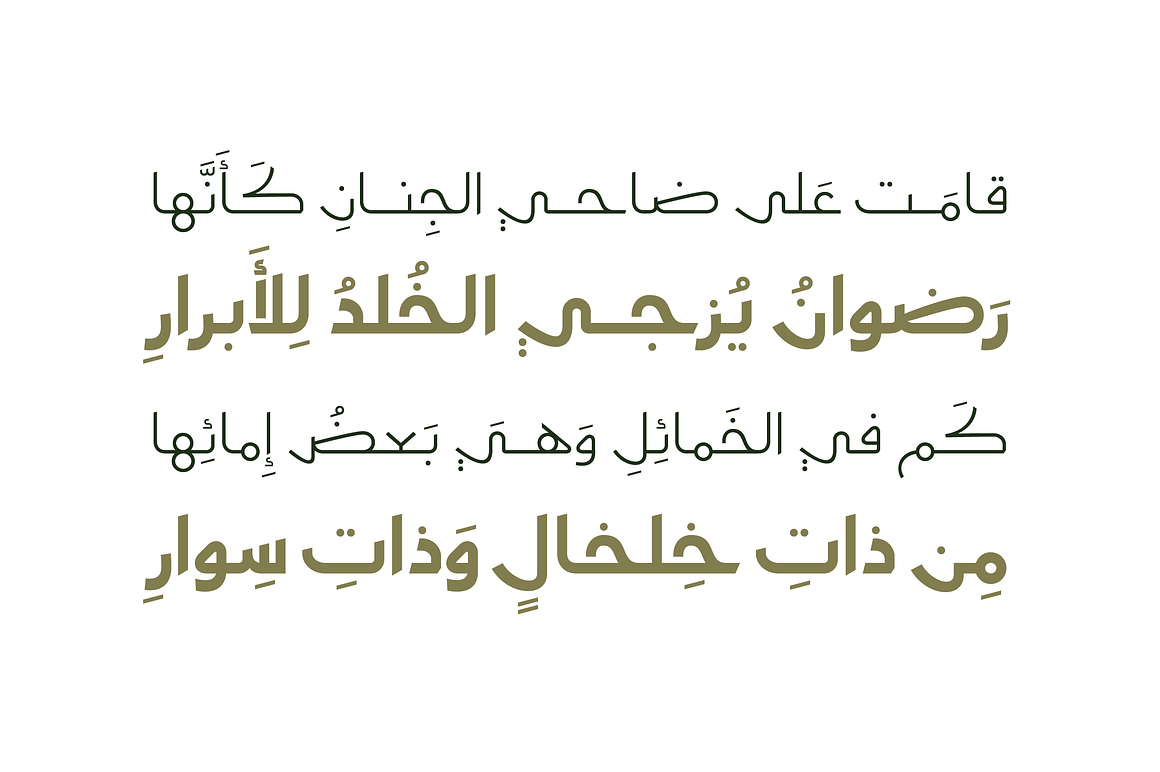 Moltaqa - Arabic Typeface, a Script Font by Mostafa El Abasiry (Photo 6 of 12)