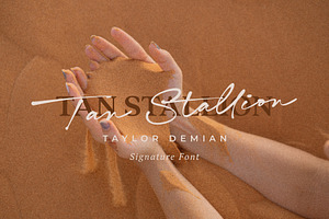 Taylor Demian - Signature Font