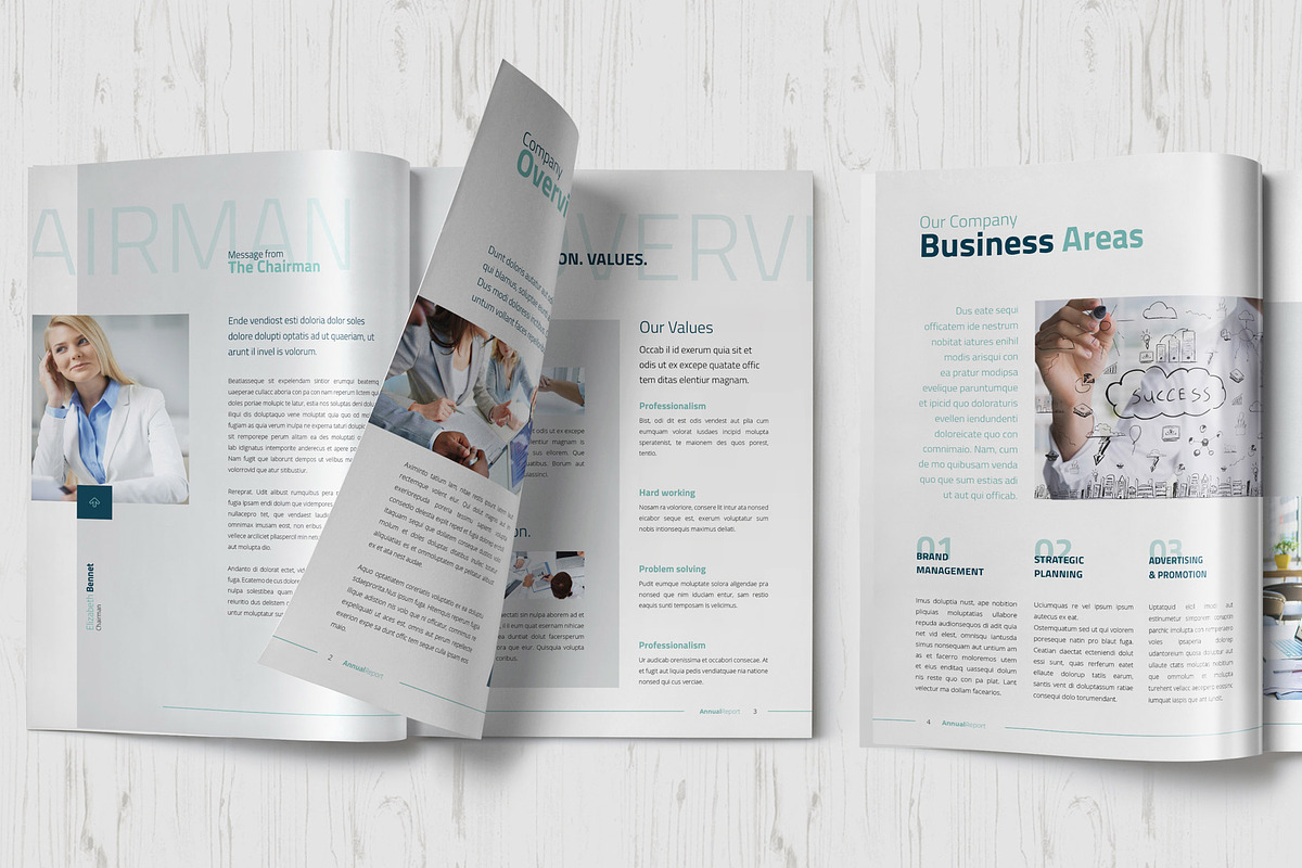 Annual Report Brochure Template, a Brochure Template by Sabin (Photo 2 of 6)