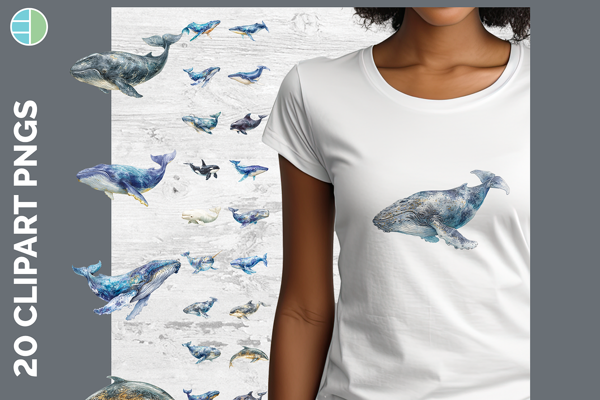 Whale Illustration Bundle, 20 PNG, an Animal Illustration by Enliven Designs (Photo 1 of 8)
