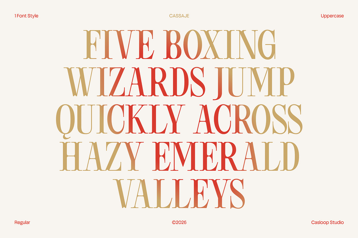 Cassaje – One Case Endless Presence, a Serif Font by Casloop Studio (Photo 5 of 10)
