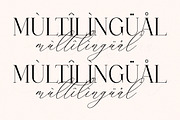 Qelthan A Modern Serif Display, a Serif Font by Storytype Studio (Thumbnail 12 of 15)