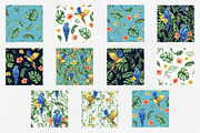 Parrots & tropical leaves watercolor, an Animal Illustration by NATASHA CHU (Thumbnail 20 of 21)