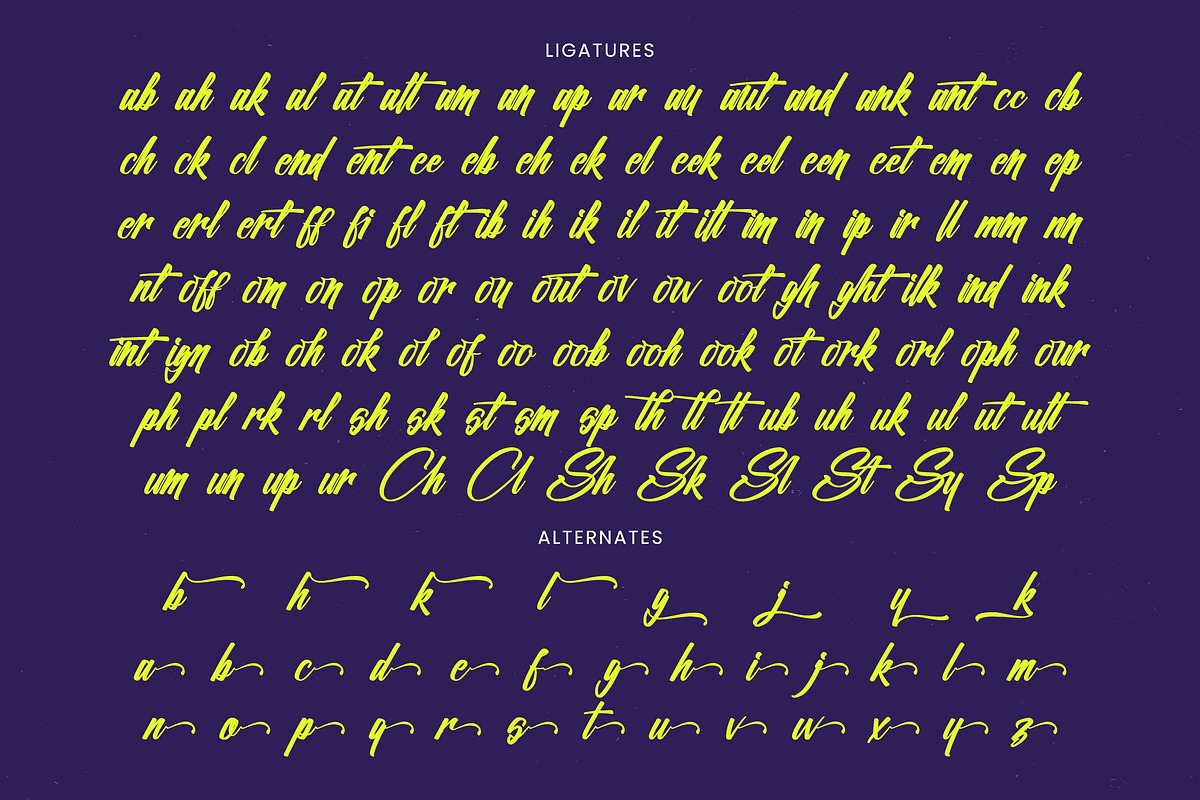 Bethalkin Rhoyality Bold Calligraphy, a Script Font by stylishtype.co (Photo 19 of 20)