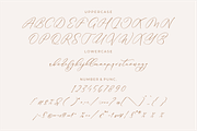 Anticka Whitnes Beauty Script Font, a Script Font by Storytype Studio (Thumbnail 12 of 15)