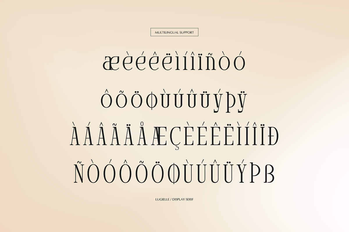 Arnnelo | Modern Display Serif, a Serif Font by gracetype_studio (Photo 12 of 12)