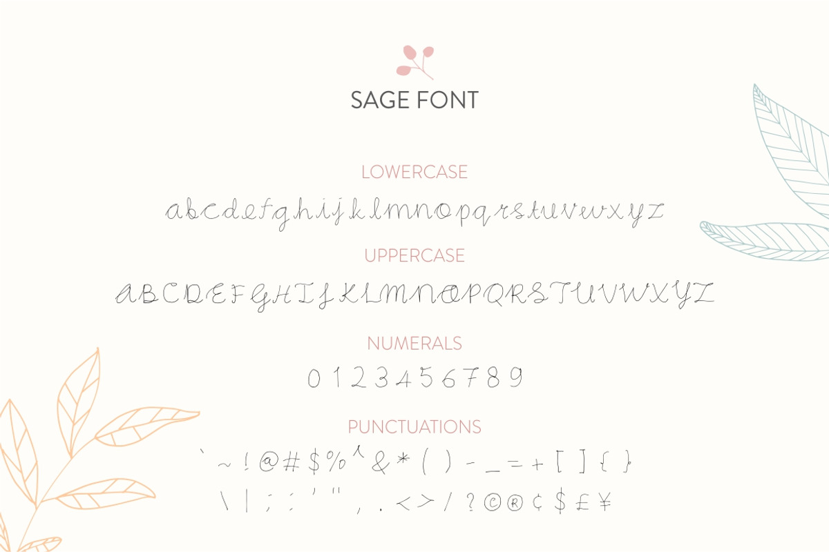 Tarragon, Sage & Satureja preview 3