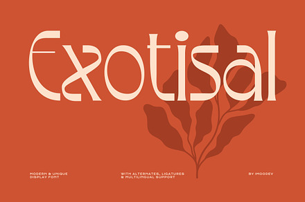 Exotisal - Modern Serif Display Font, a Serif Font by Imoodev