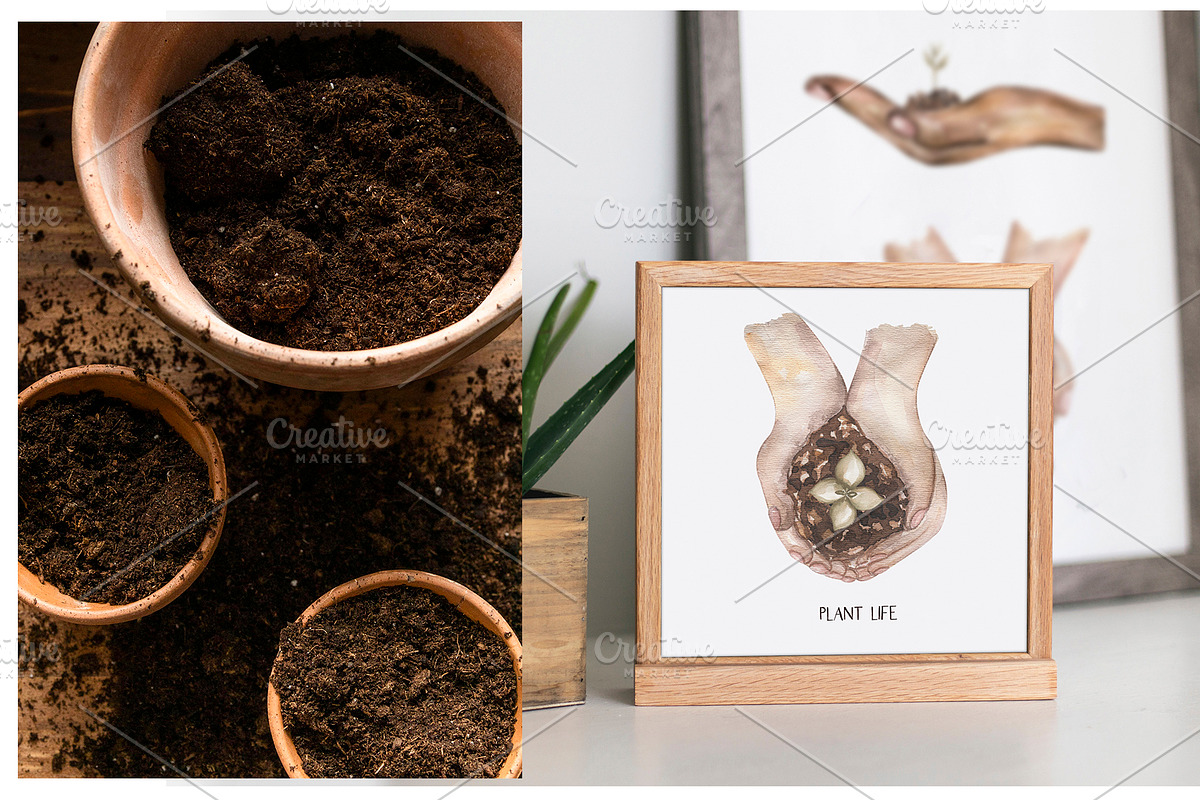 Watercolor Garden Collection, a Work Illustration by MayaNavits (Photo 7 of 13)