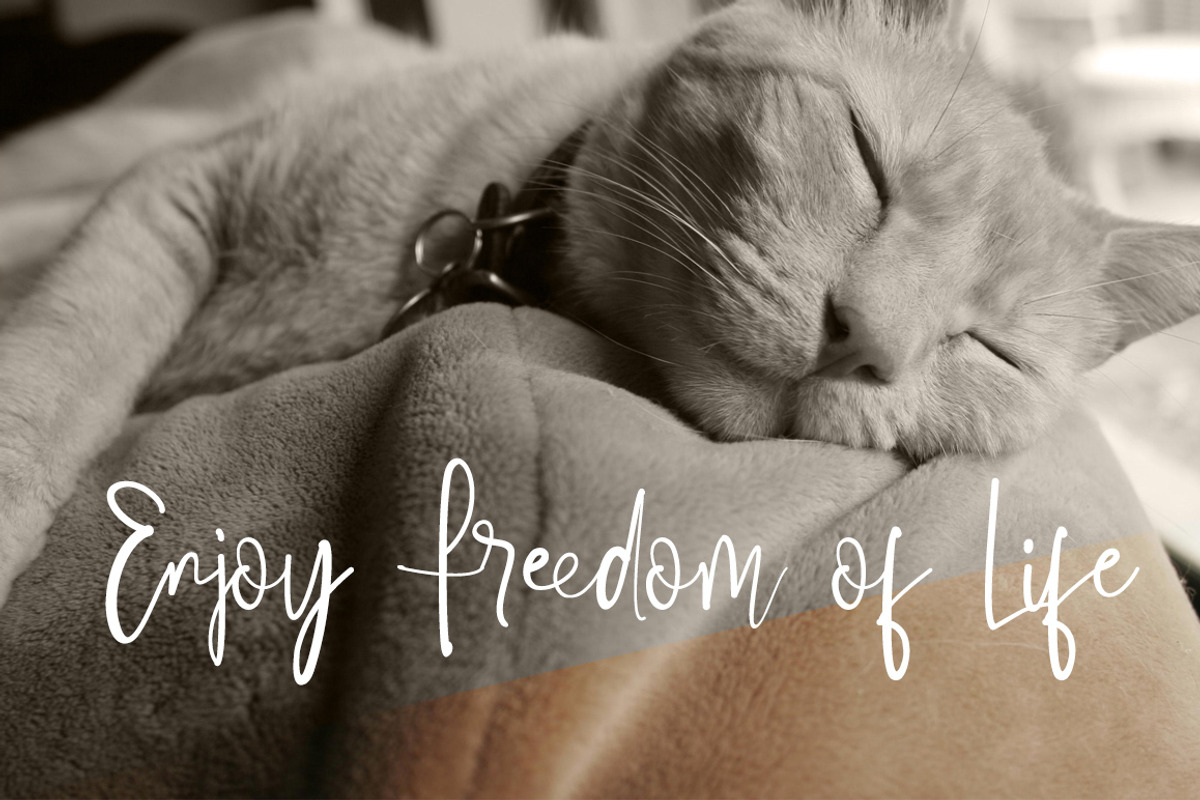 Einson Script Font preview 5