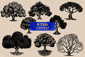 Oak Tree engraving Bundle, an Object Illustration by Arthur Balitskiy