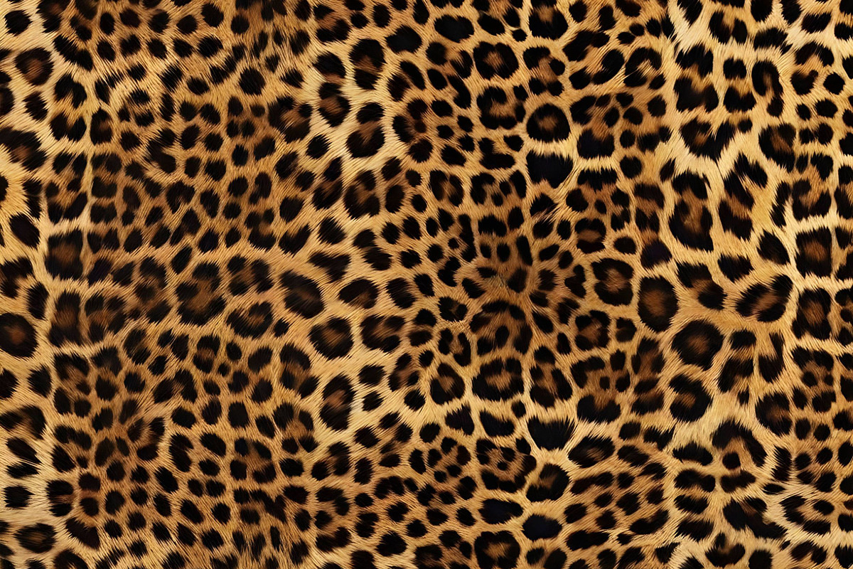 Safari Animals Skin Print Texture, a Graphic by UniqueMe (Photo 21 of 21)