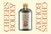 Giqer Western Vintage Serif, a Serif Font by timelesstype.co (Thumbnail 18 of 20)