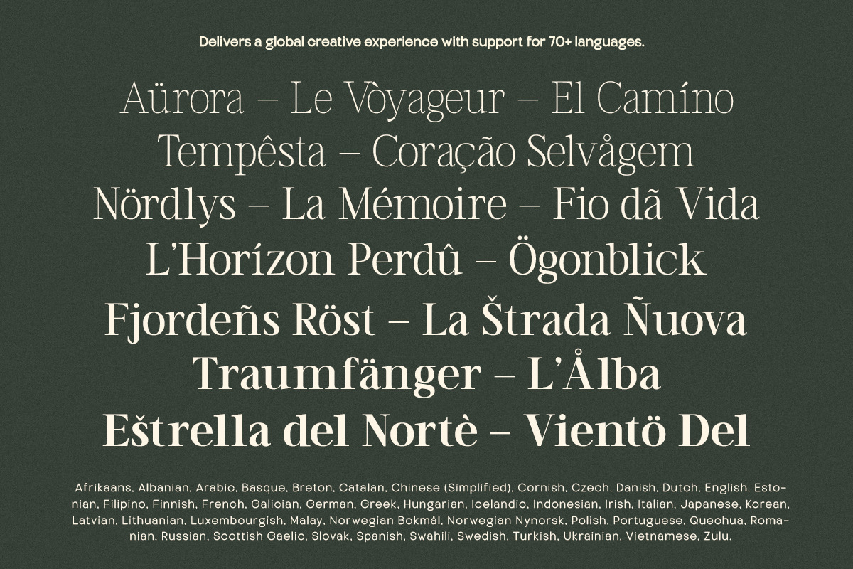 TT Vermolin — Modern Classy Serif, a Serif Font by truetype (Photo 14 of 15)