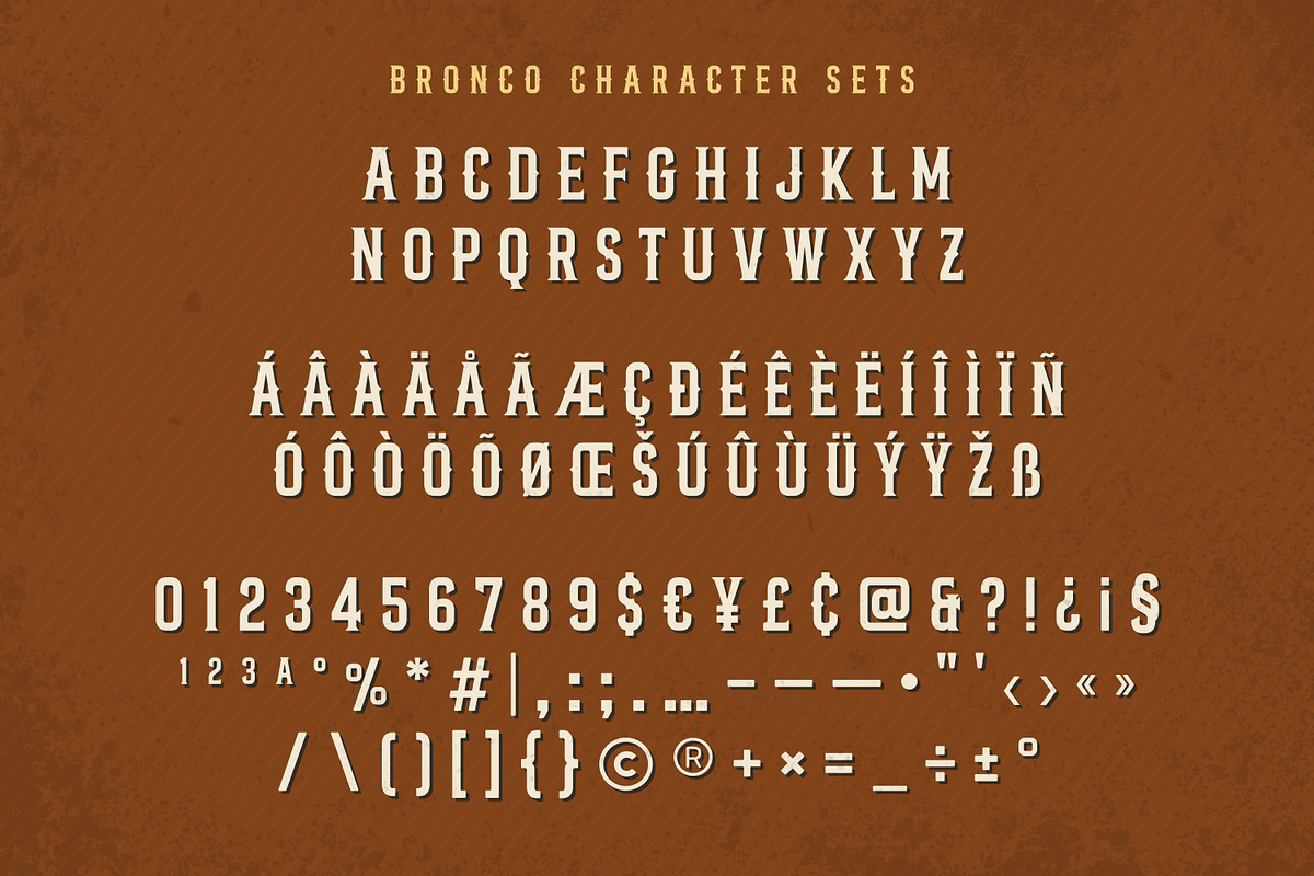 Bronco Valley - Vintage Serif, a Serif Font by Variatype (Photo 6 of 8)