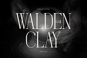Dennya | Display Serif Font, a Serif Font by gracetype_studio (Thumbnail 2 of 12)