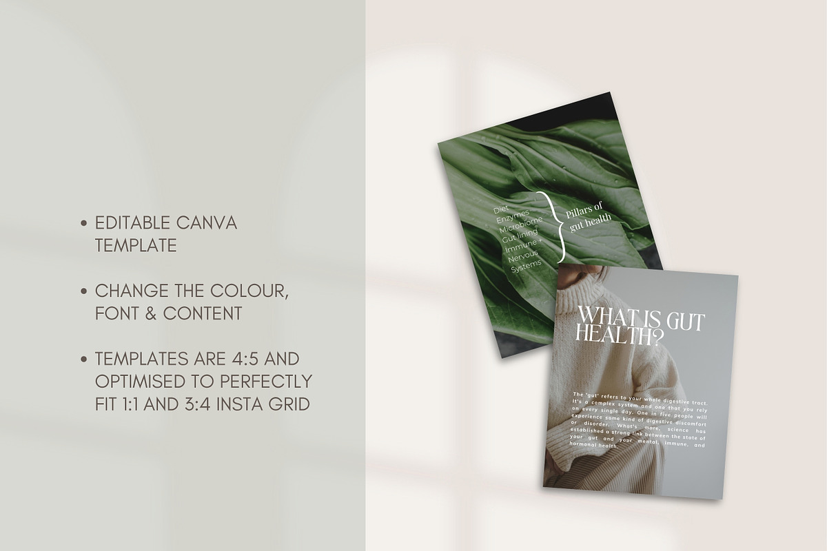 Holistic Gut Instagram Canva, a Social Media Template by Naturopath Hub (Photo 3 of 5)