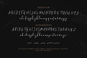 Hughson Script (8 Fonts), a Script Font by Sarid Ezra (Thumbnail 9 of 10)