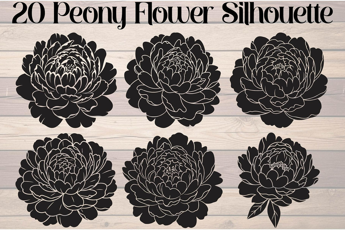 Peony Flower Silhouette, an Object Graphic by Designer_Momina (Photo 1 of 18)