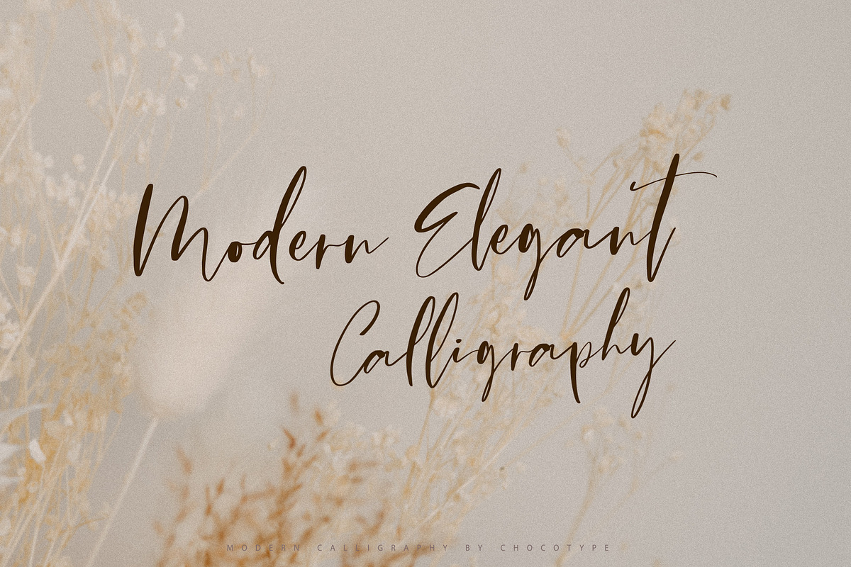 Centaura Script, a Script Font by Chocotype Std (Photo 4 of 8)