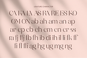 Assent Royale - Luxury Serif, a Serif Font by Annivers Type (Thumbnail 5 of 10)