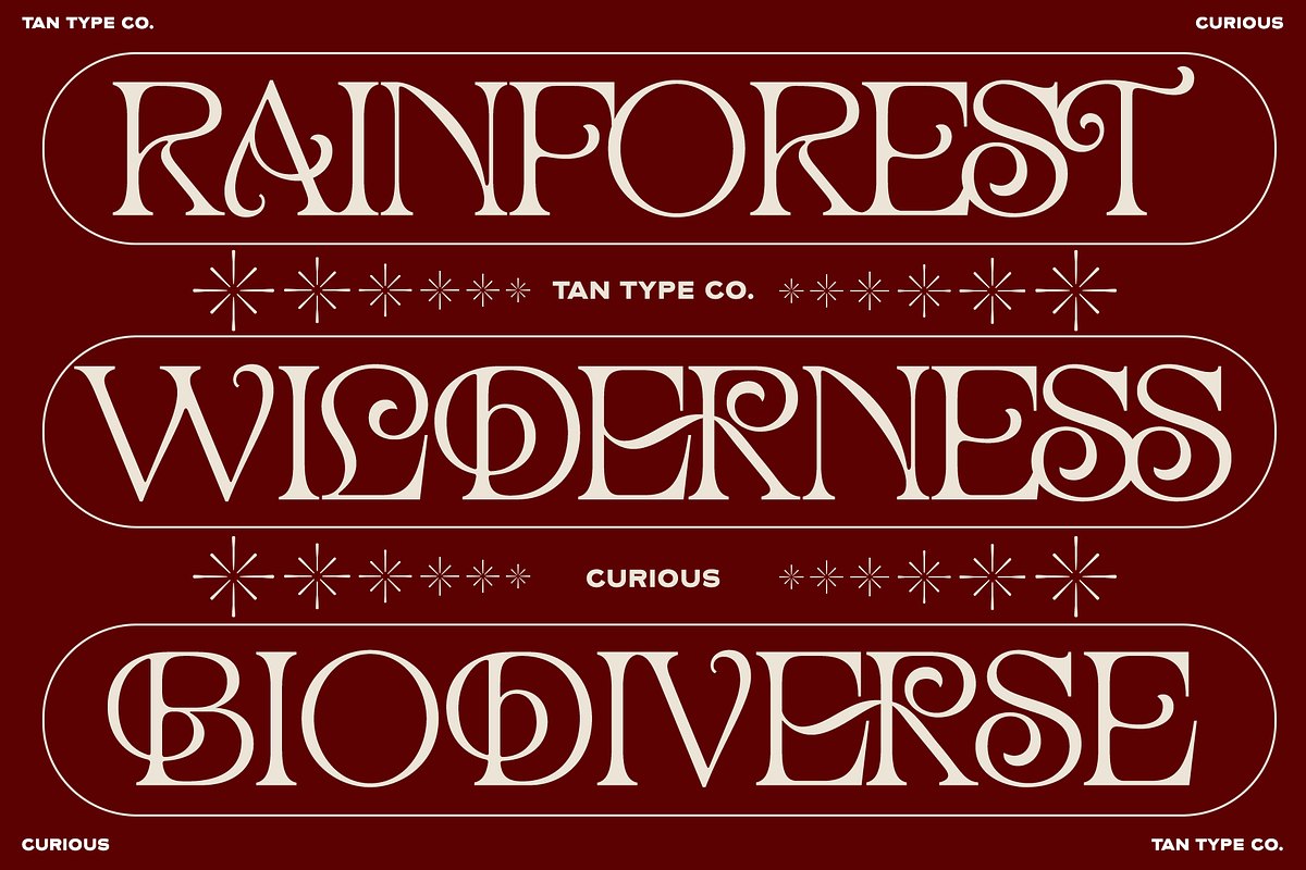 TAN - CURIOUS, a Serif Font by TanType (Photo 7 of 11)