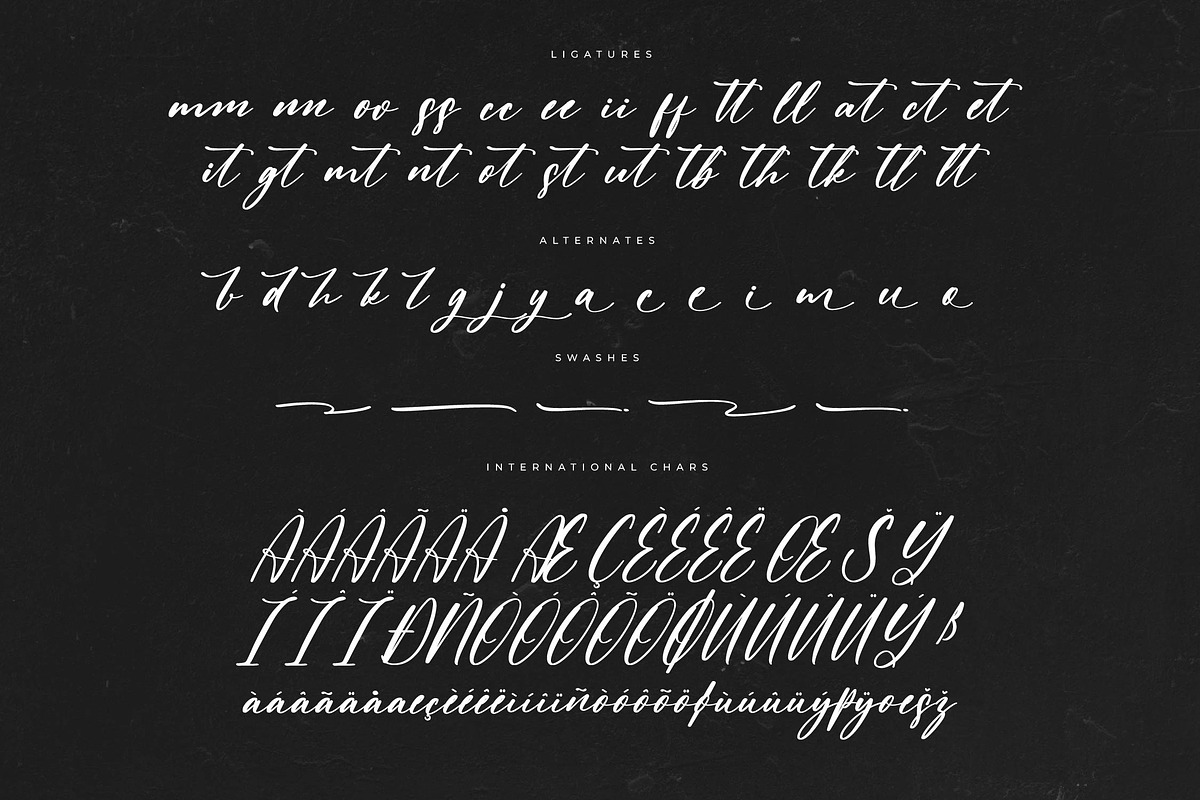Claudia Martin Modern Handwritten, a Script Font by Letterena Studios Script (Photo 14 of 15)