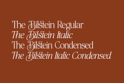The Bilstein Editorial, a Serif Font by Pista Mova (Thumbnail 14 of 20)